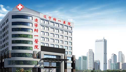 辽宁附一医院